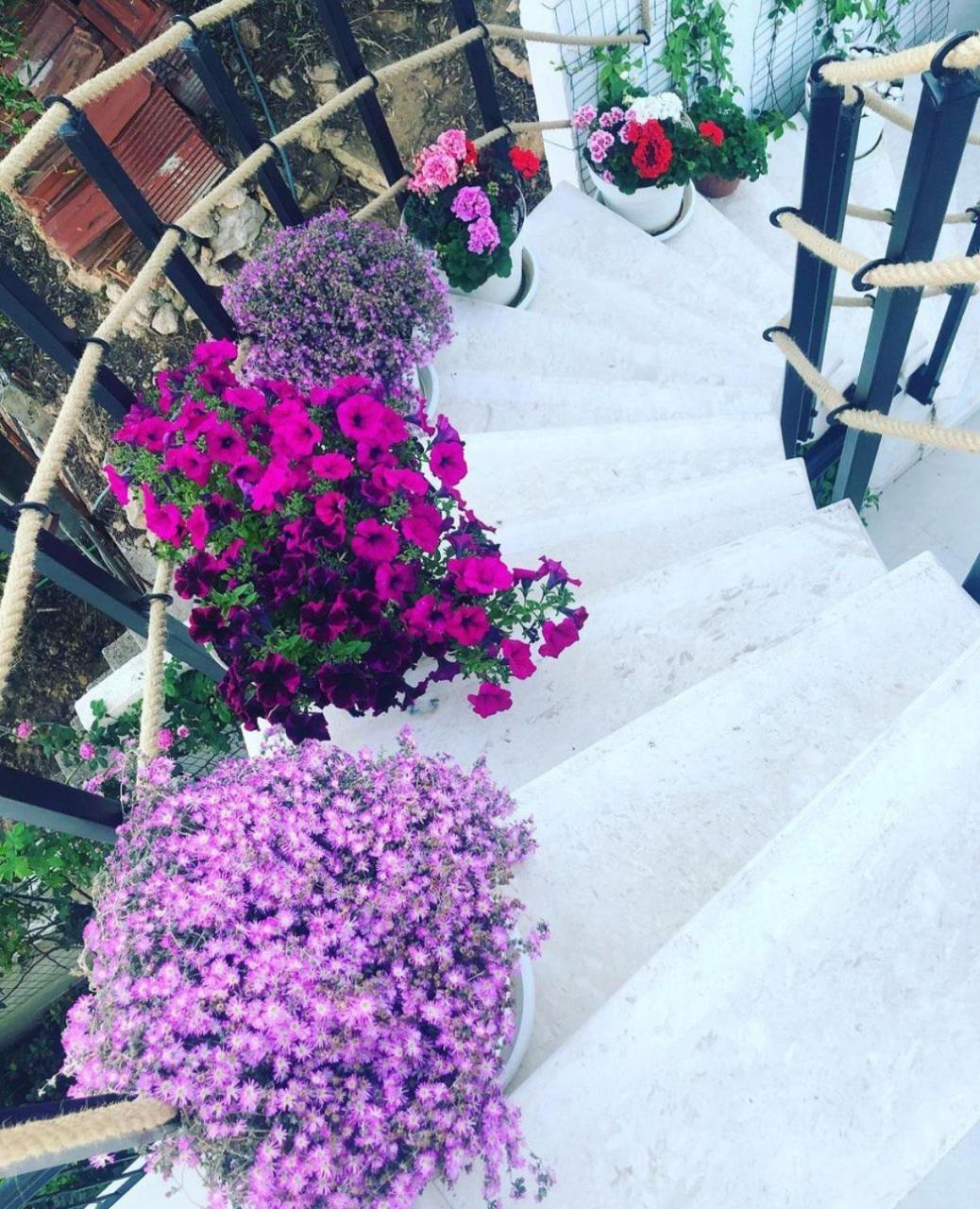 Villabijela21 Ulcinj Luaran gambar